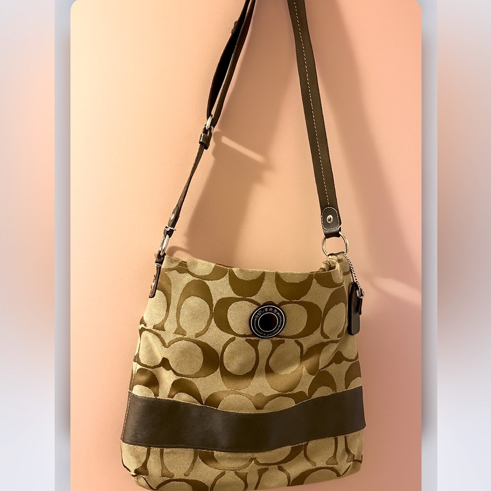 Coach Elegant Brown Leather Bag